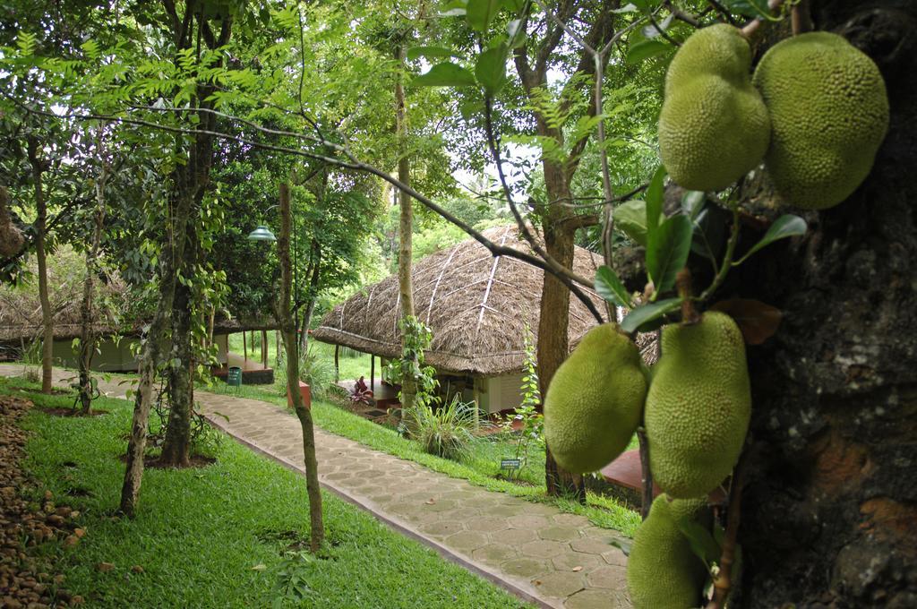 Spice Village Thekkady - A Cgh Earth Experience Экстерьер фото