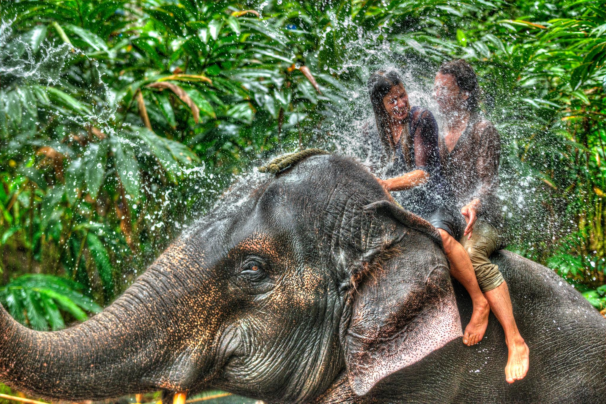 Spice Village Thekkady - A Cgh Earth Experience Экстерьер фото